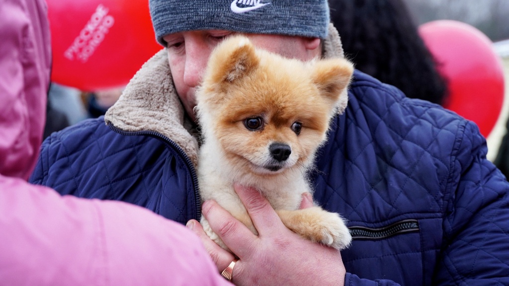 rus-zoloto.com_tehnika_Roslavl_20.jpg rus-zoloto.com_tehnika_Roslavl_20.jpg