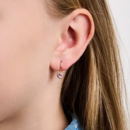 Серьги СргЛ46/РозФ вид 2