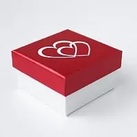 Футляр 175630-289 Амур 2серд КРАС