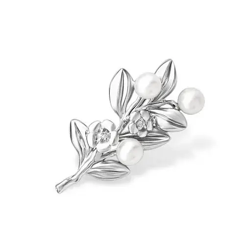 Брошь из серебра