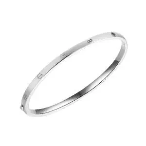 Браслет жесткий из серебра вид 1