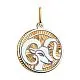 Подвеска знак зодиака из комбинированного золота
