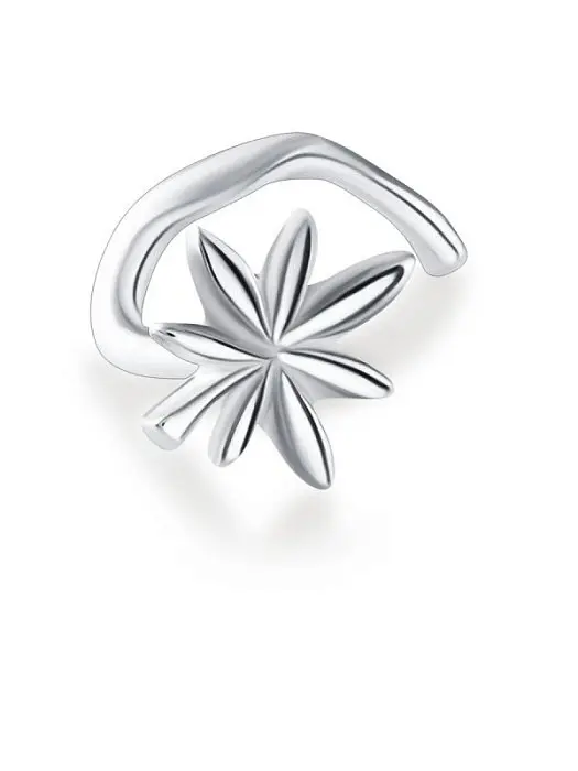 Пирсинг из серебра вид 1