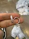 Серьги пуссеты из серебра