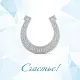 Подкова денежная СЧАСТЬЕ-П-003
