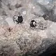 Серьги пуссеты из серебра