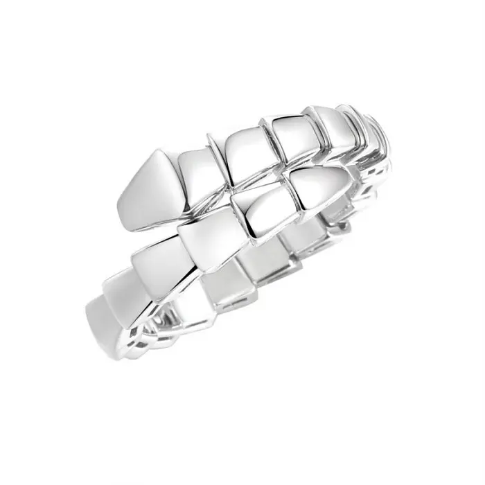 Кольцо SR-R04549-X-W-X-X-X вид 2