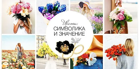 Цветы: символика и значение