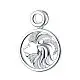 Подвеска знак зодиака из серебра
